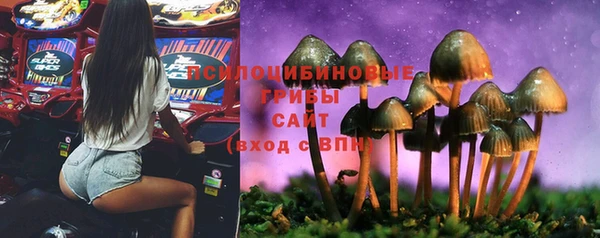 МДПВ Беломорск