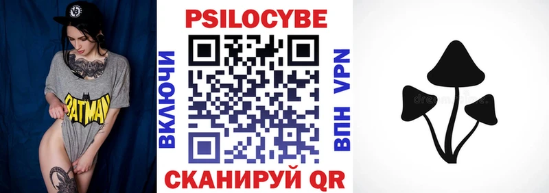 MEGA сайт  Кимовск  Галлюциногенные грибы Psilocybine cubensis 